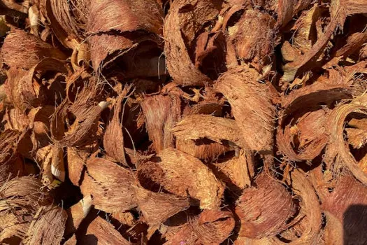 beauty brand retention and growth execution