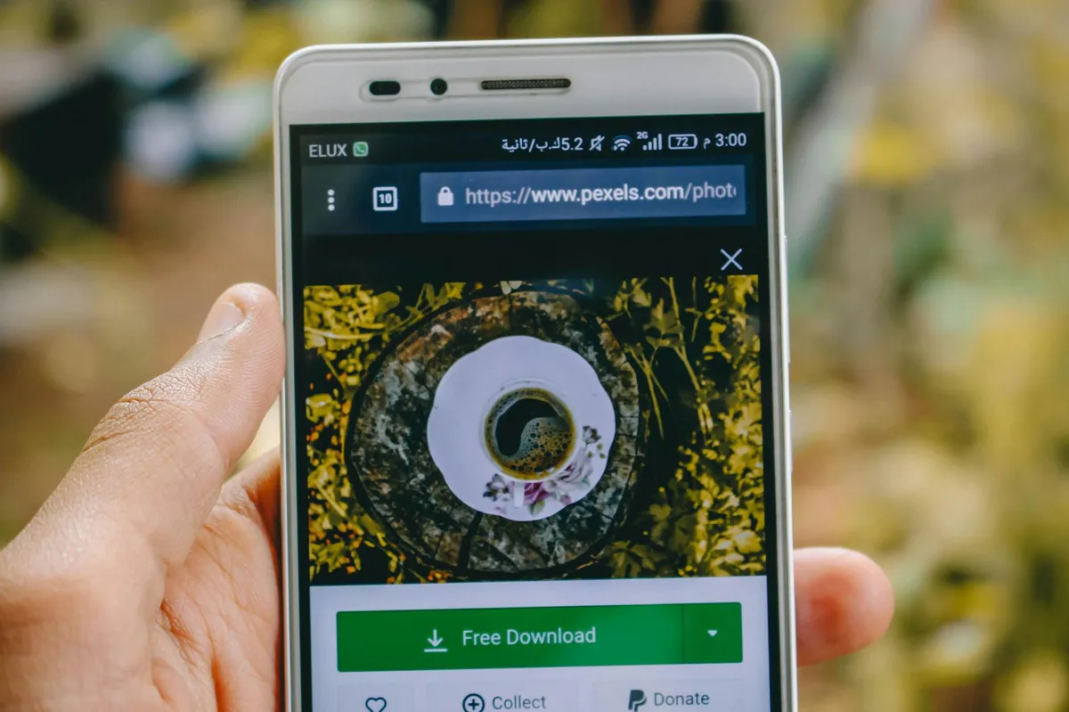 shopify image optimization settings
