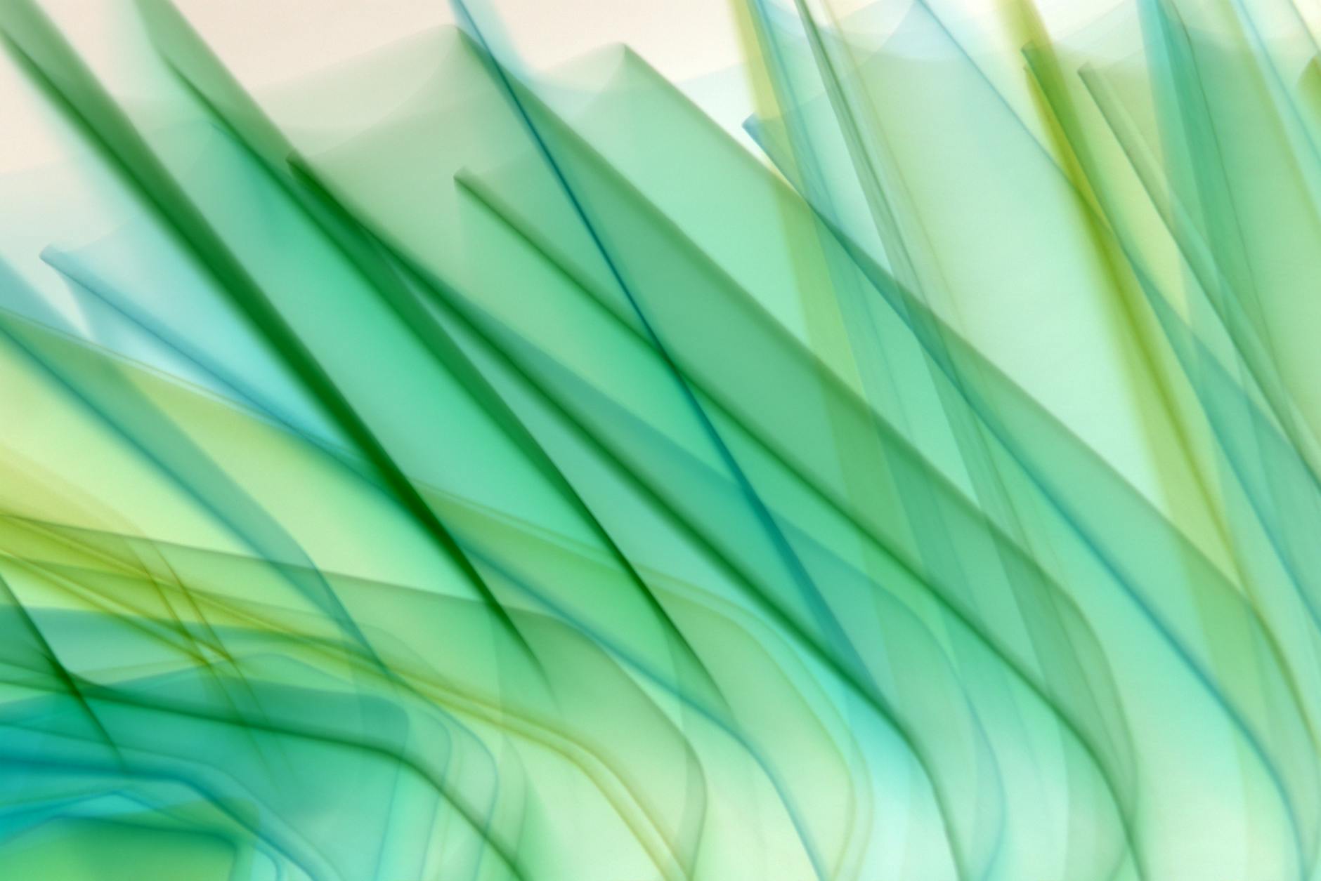 Ecommerce Brand Building: Beyond Logo and Colors