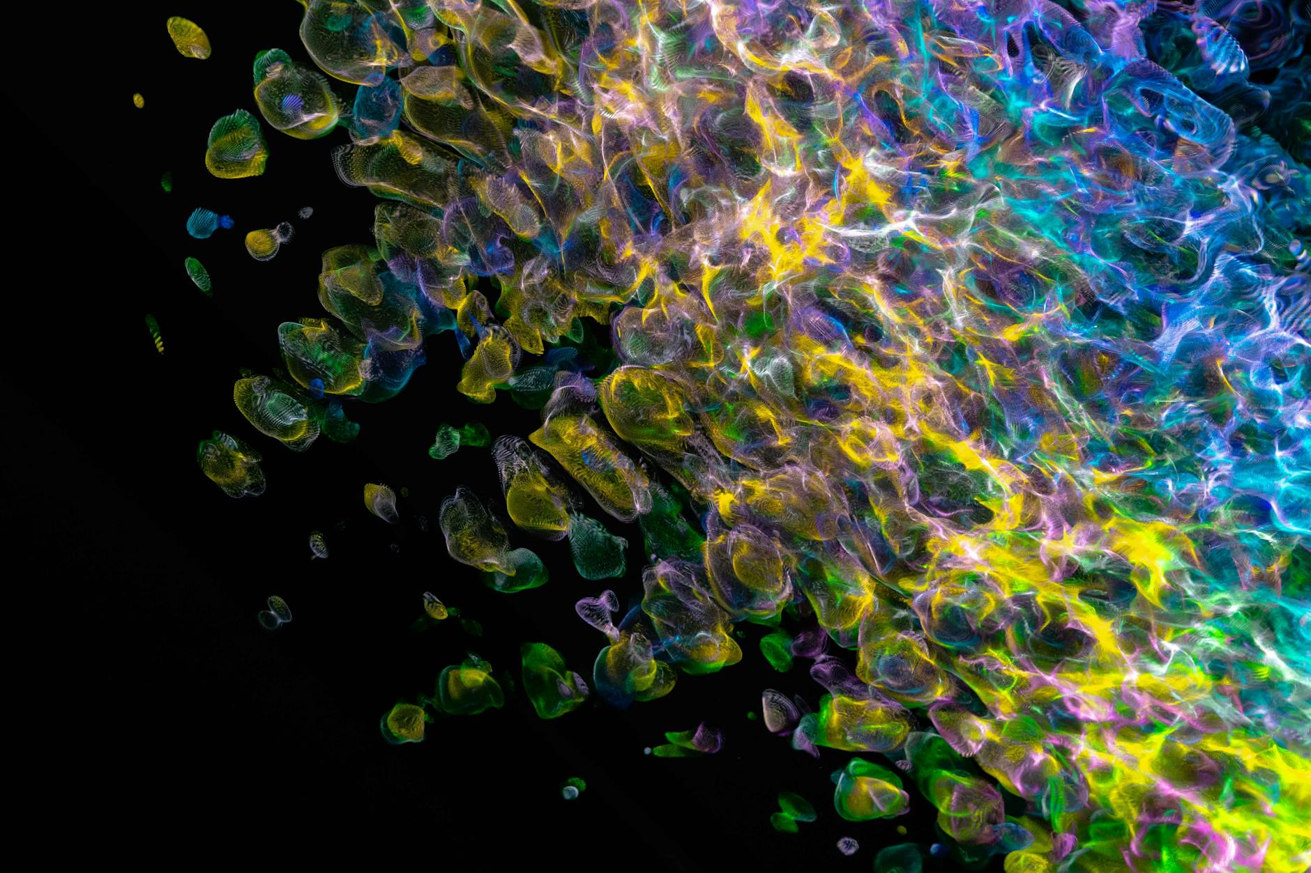 Free Shipping Strategy: The Math Behind the Threshold