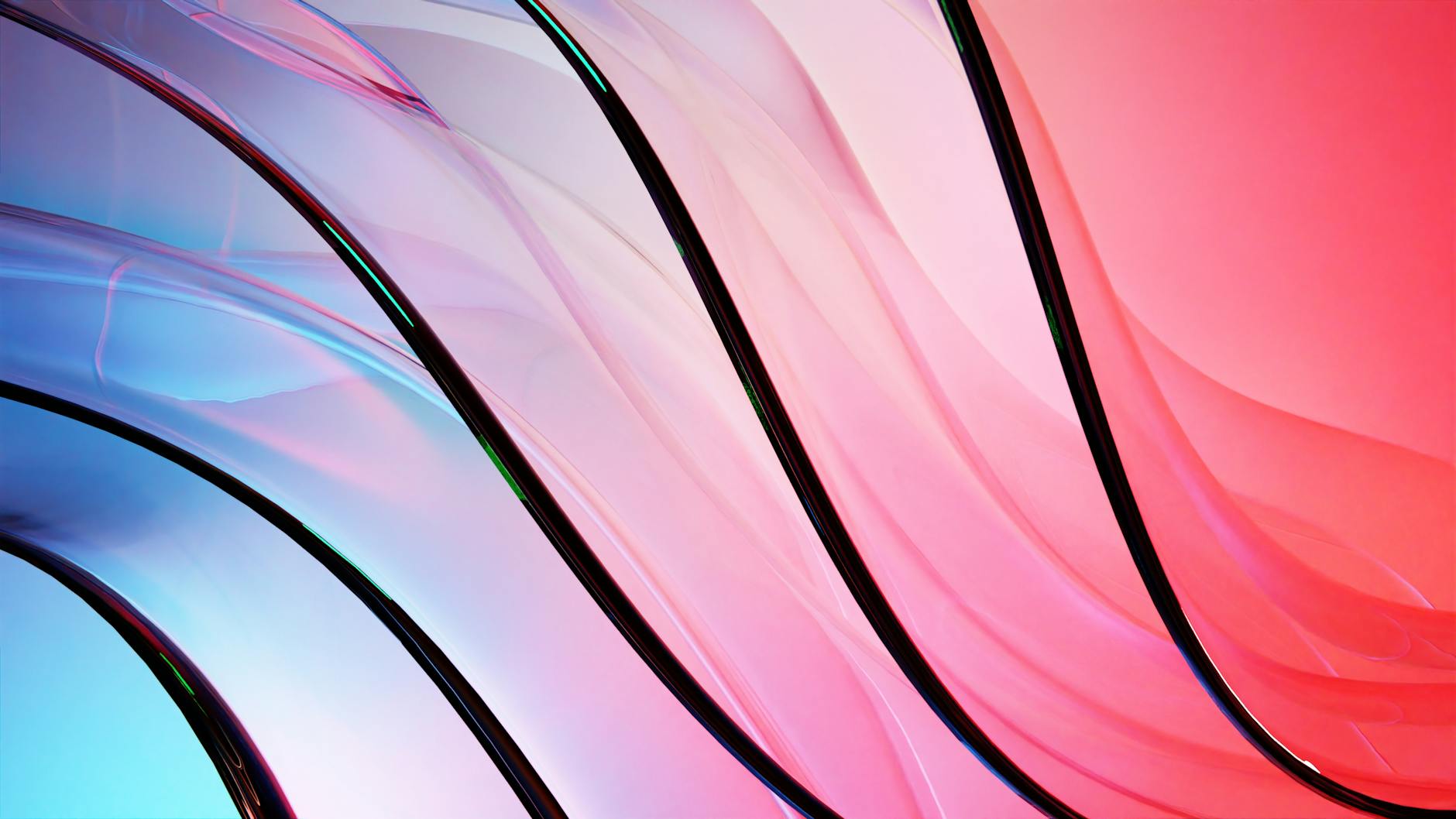 LTV to CAC Ratio: The Number That Shows If Your Store Is Viable