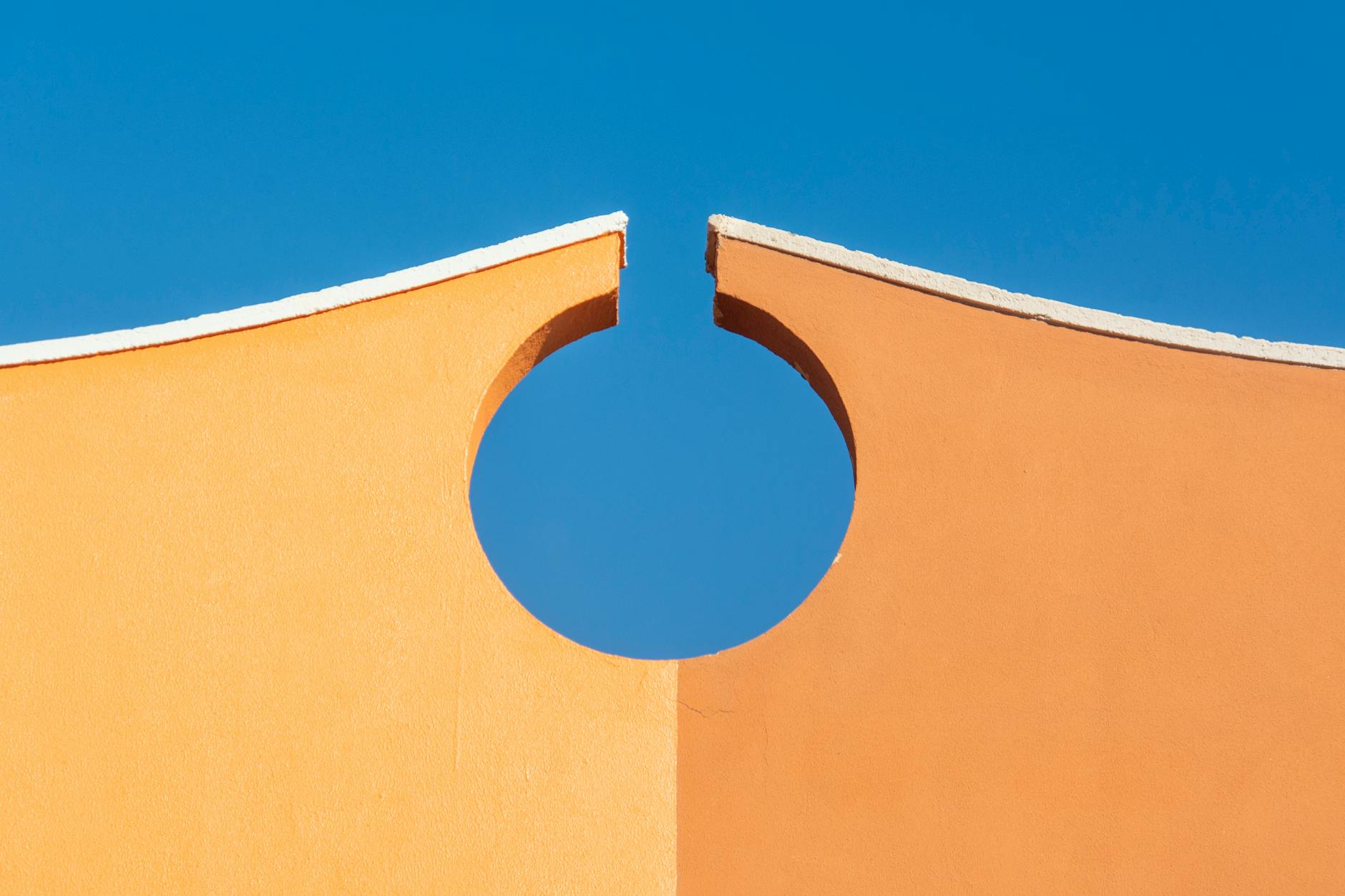 Shopify for Pet Stores: What Actually Works