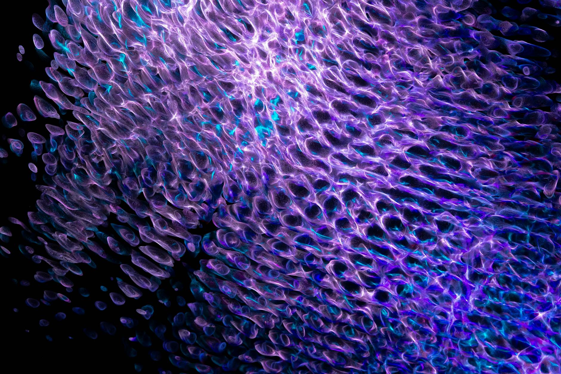 Shopify vs WooCommerce: SEO Performance Breakdown